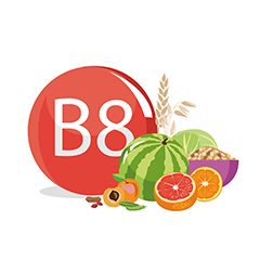 Vitamina B8 Biotina