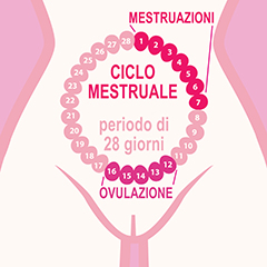 Ciclo mestruale