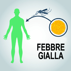 Febbre gialla