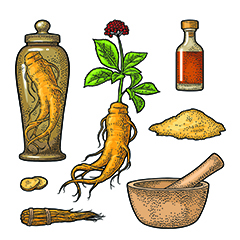 Ginseng