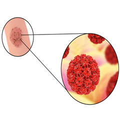 hpv trasmissione piscina