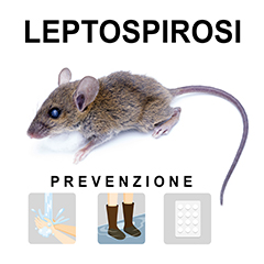 Leptospirosi