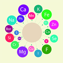 Minerali e oligoelementi