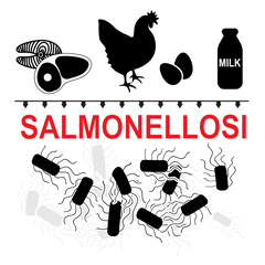 Salmonellosi