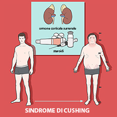 Sindrome di Cushing
