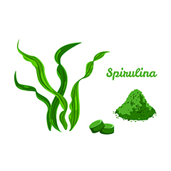 Spirulina