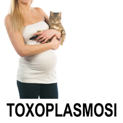Toxoplasmosi Toxoplasmosi