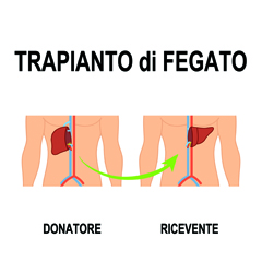 Trapianto di fegato