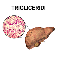Trigliceridi