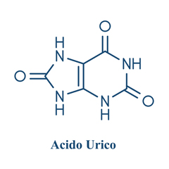 Uricemia (analisi cliniche)